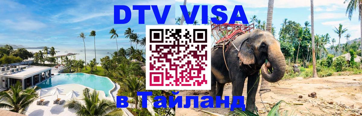 Сколько стоит DTV виза — актуальные цены, оформление даже без документов - 19.11.2025 
